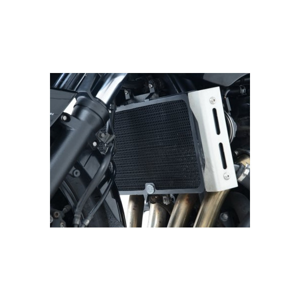 R&G RADIATOR GUARD GSF1250 07-